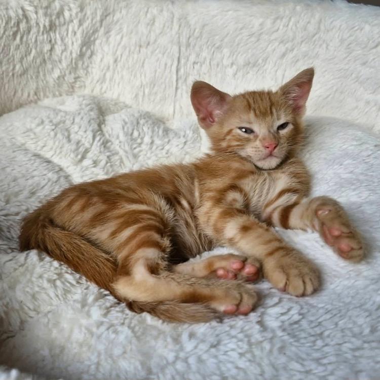 Photo de Franklin